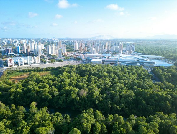 Décharges à ciel ouvert : Problématiques majeures et solutions innovantes